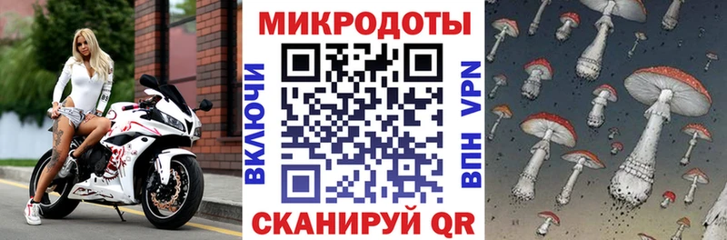 Псилоцибиновые грибы MAGIC MUSHROOMS  Заинск 